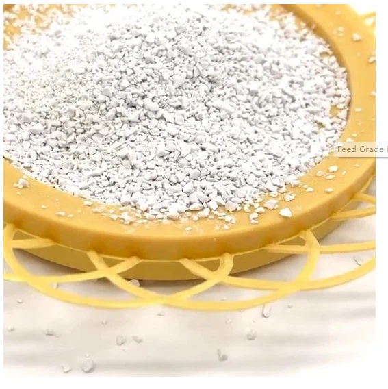 Dicalcium Phosphate 73